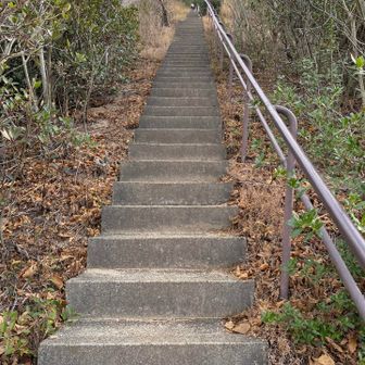 これぞ千段階段。香港のTwinsを思い出した