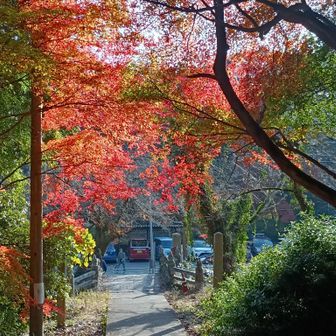 帰ります。お疲れ山