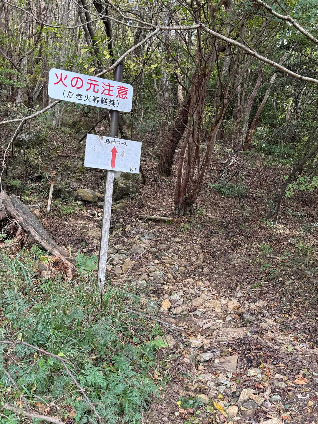 ほんで、いきなり山道🫢
勝神コースの続き