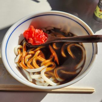 山頂で食べたい！と言っていた念願のまさカリーうどんいただきます🙏✨️茶屋で出てくるレベルとは思えないスパイシーでとても美味しいカリーうどんでした🥹✨️冷えた身体に温かいうどんが染み渡りました！
