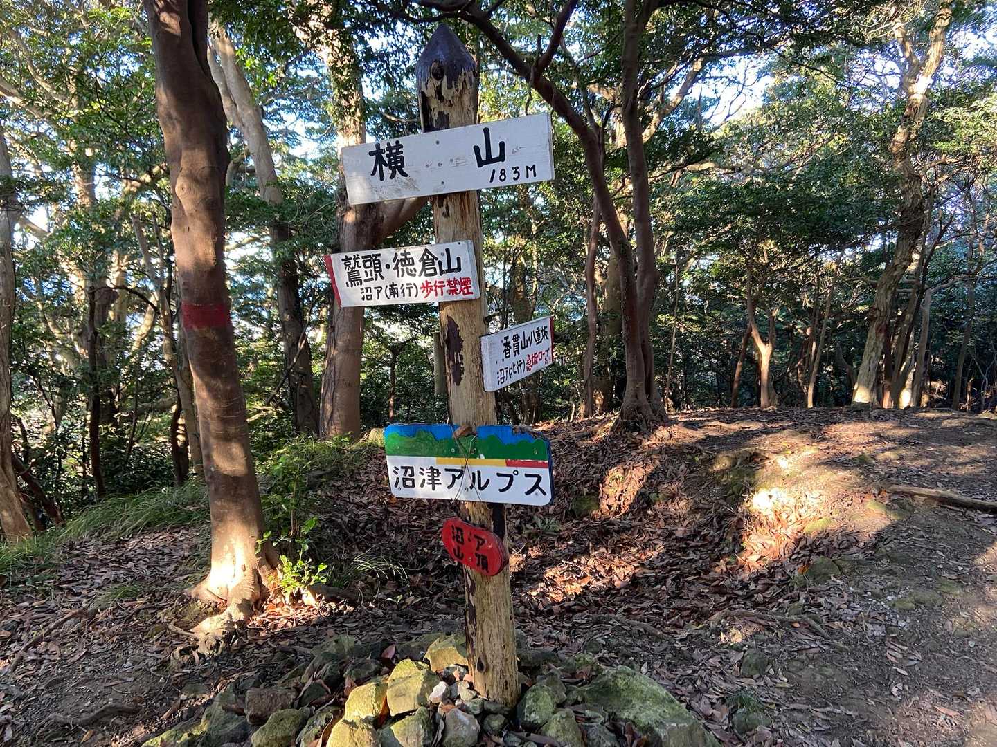 次が横山