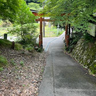 帰ってきましたー☘️
