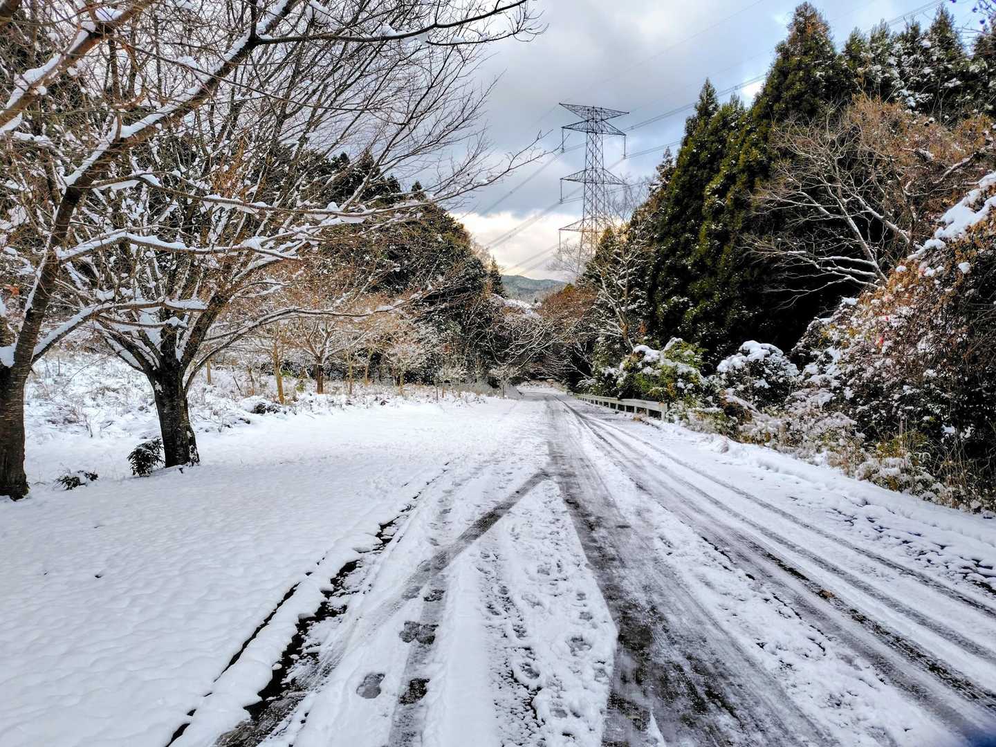 道路は積雪☃️・凍結❄️