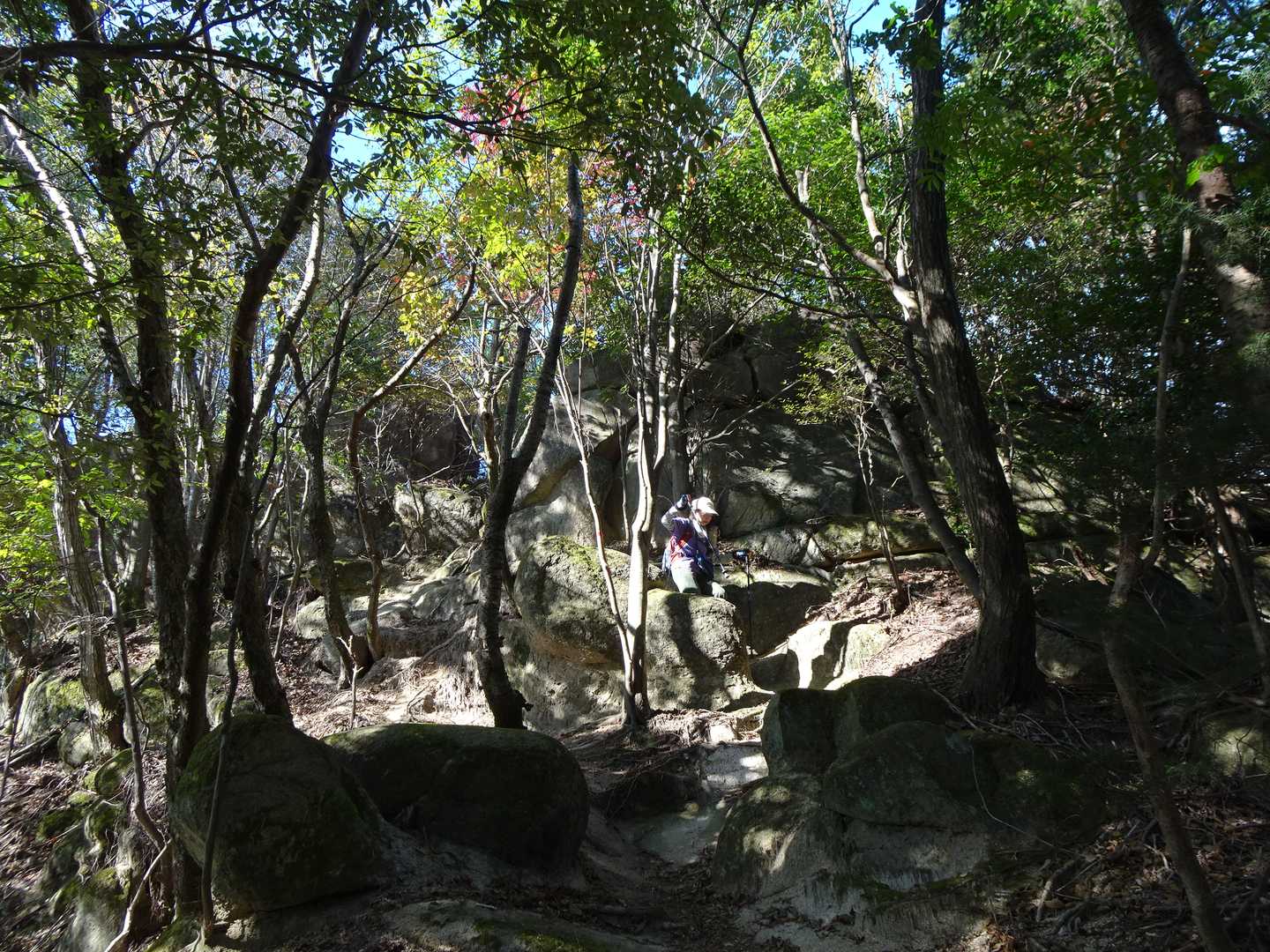 高尾山を過ぎると岩越えも緩やかです