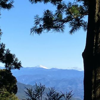 富士山見えた〜‼️🤩
