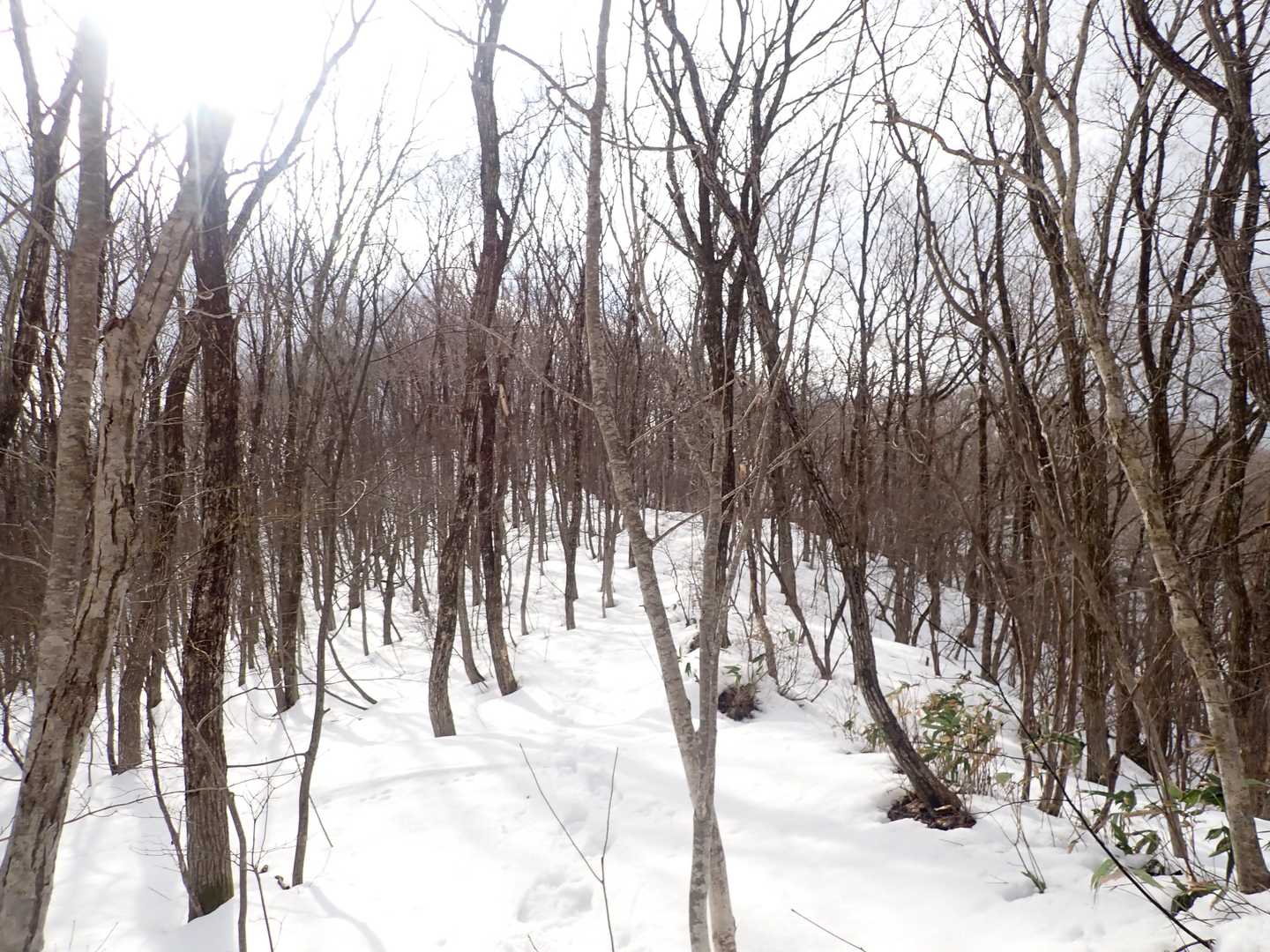 外輪山が一番雪深い