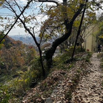 もう少ししたらら登山口