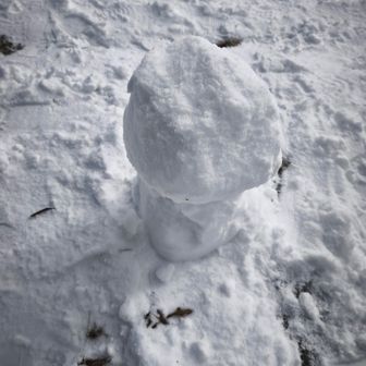 誰かが作った雪だるま⛄見事👏👏