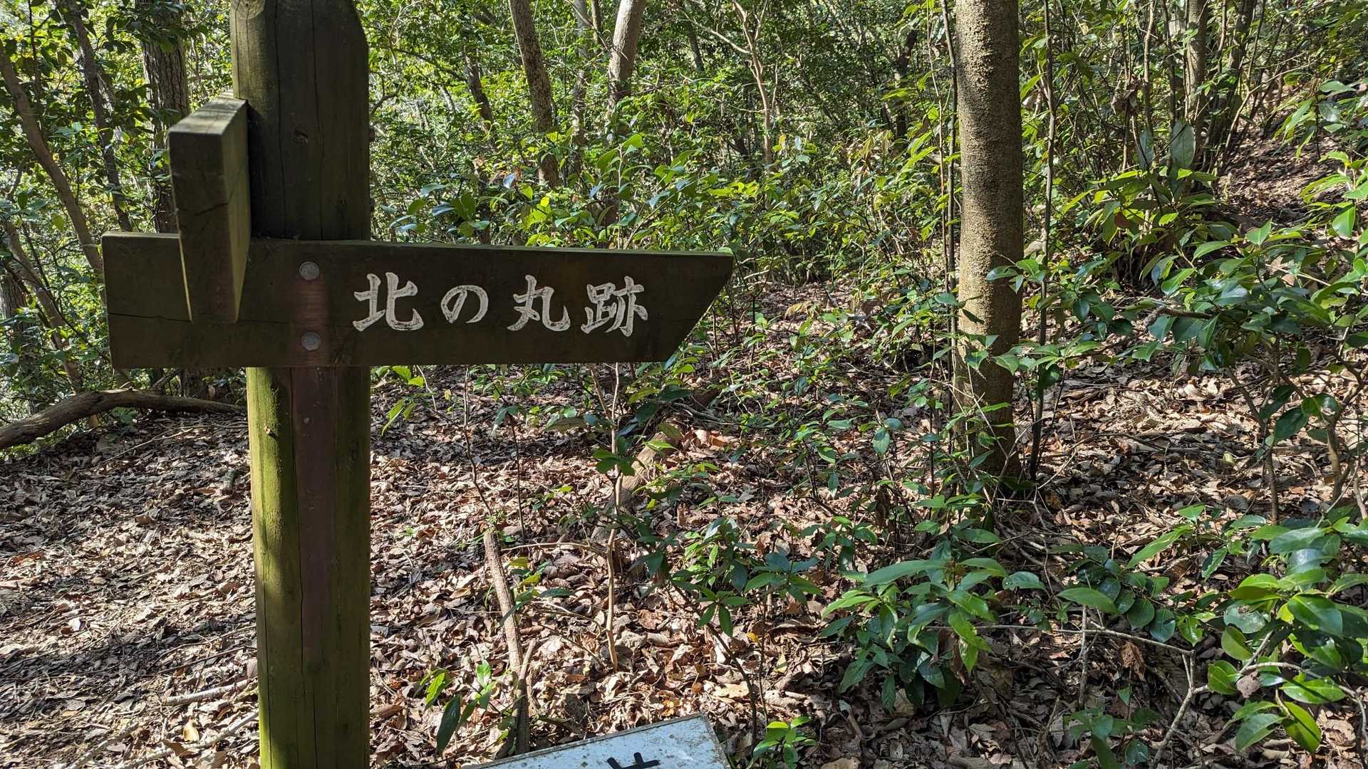 坂を登りかなりの広さの北の丸跡に到着しました、
ここまで足を運んだことはありませんでした。