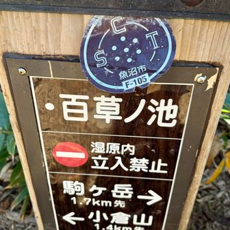 だいぶ下がってきた
