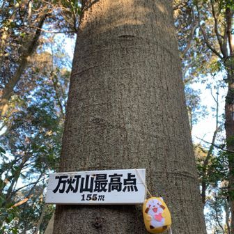 ここから折り返し