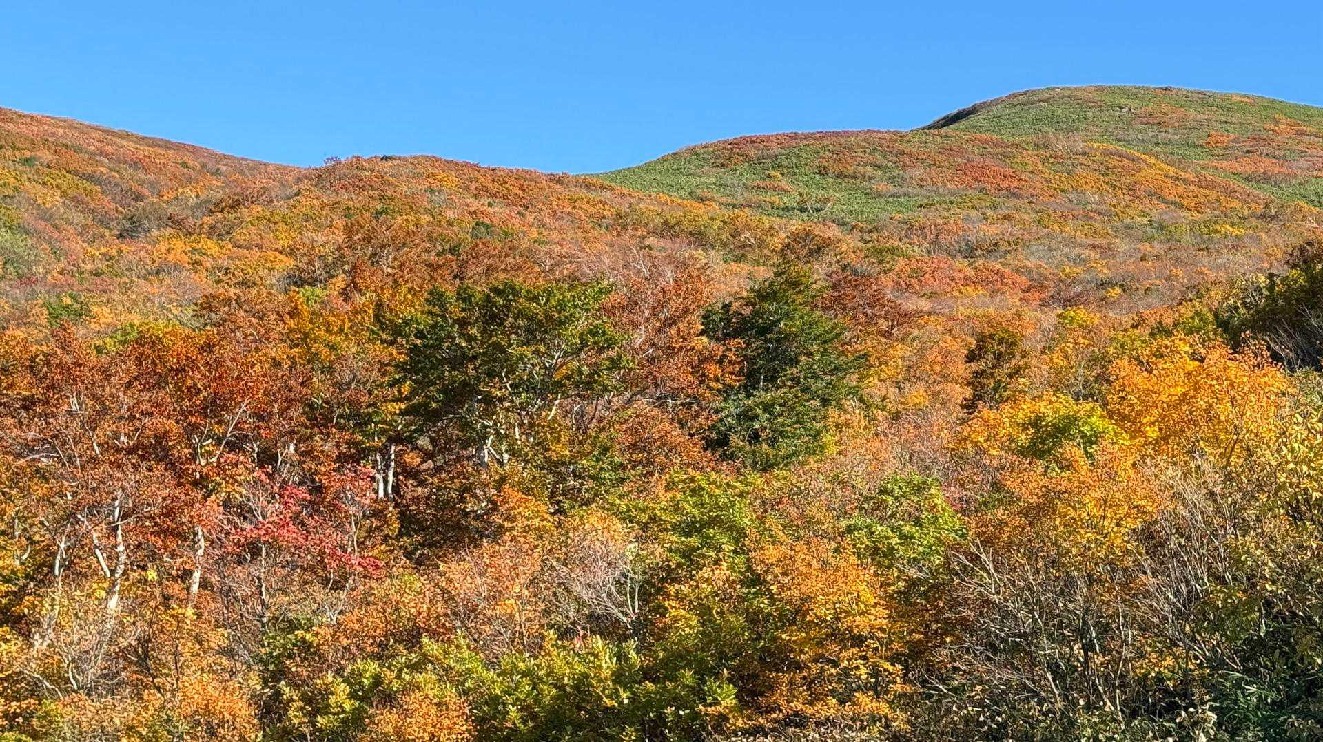 鳥海ブルーライン大平登山口駐車場から