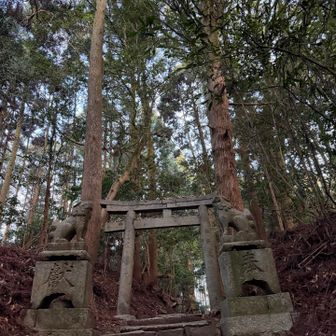 とりあえずこっちから降る