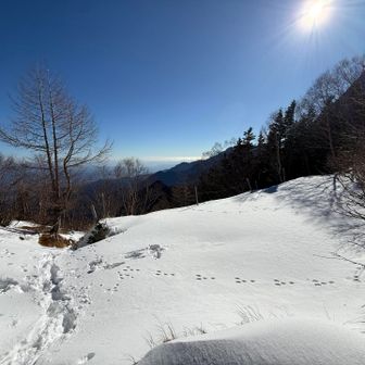 コースタイム巻けなかったら下山しようと思いながら先を進む