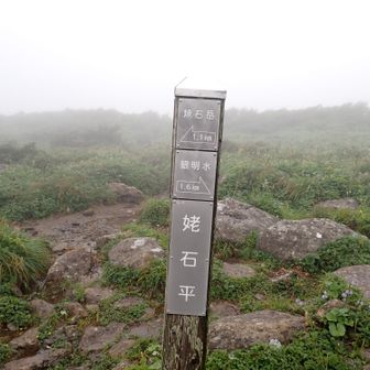 広大なお花畑