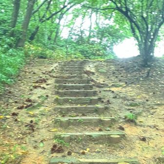 のぞみの丘を降りる