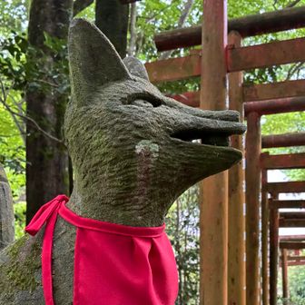 　啞🦊