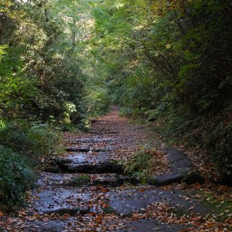 こんな感じです