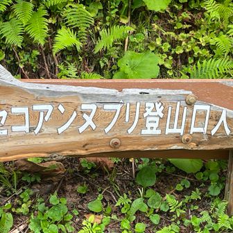 登ります