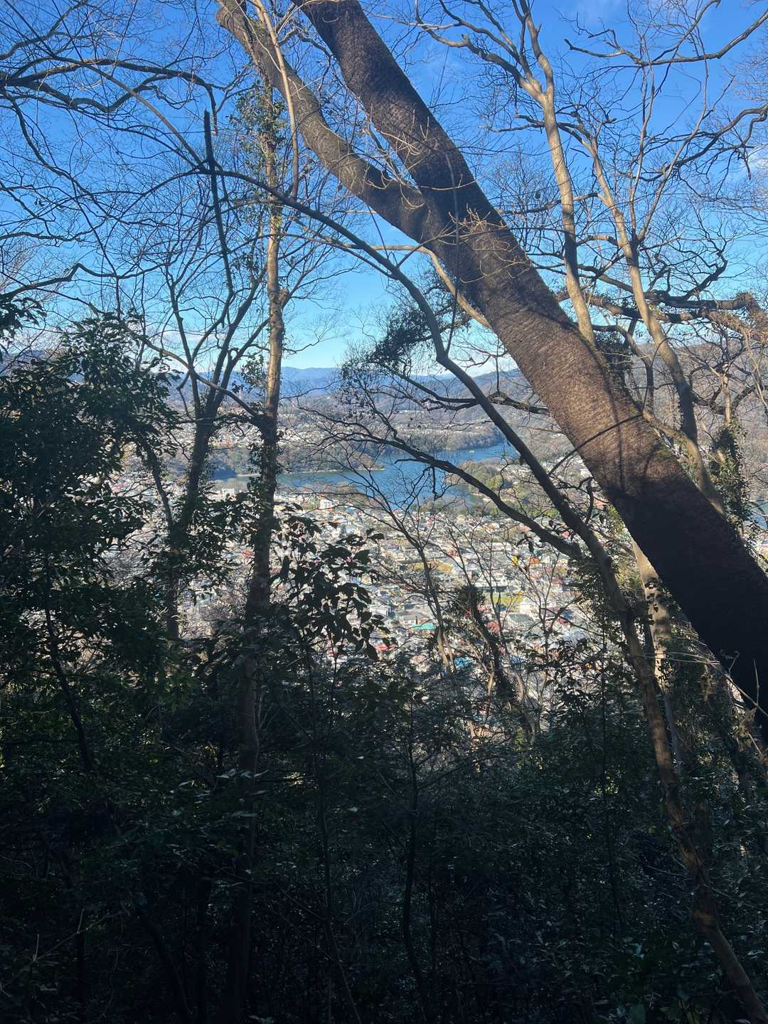 城山 往復コースの写真