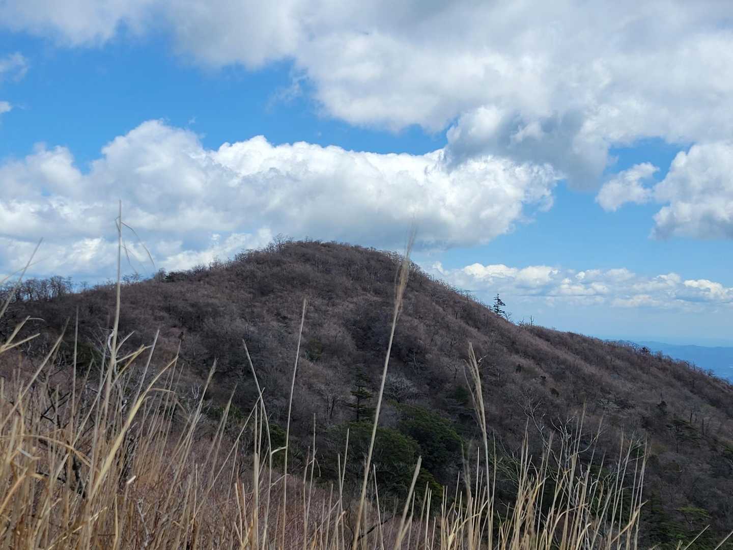 矢岳