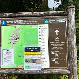 駐車場まで歩いたりして25キロ稼ぎました！