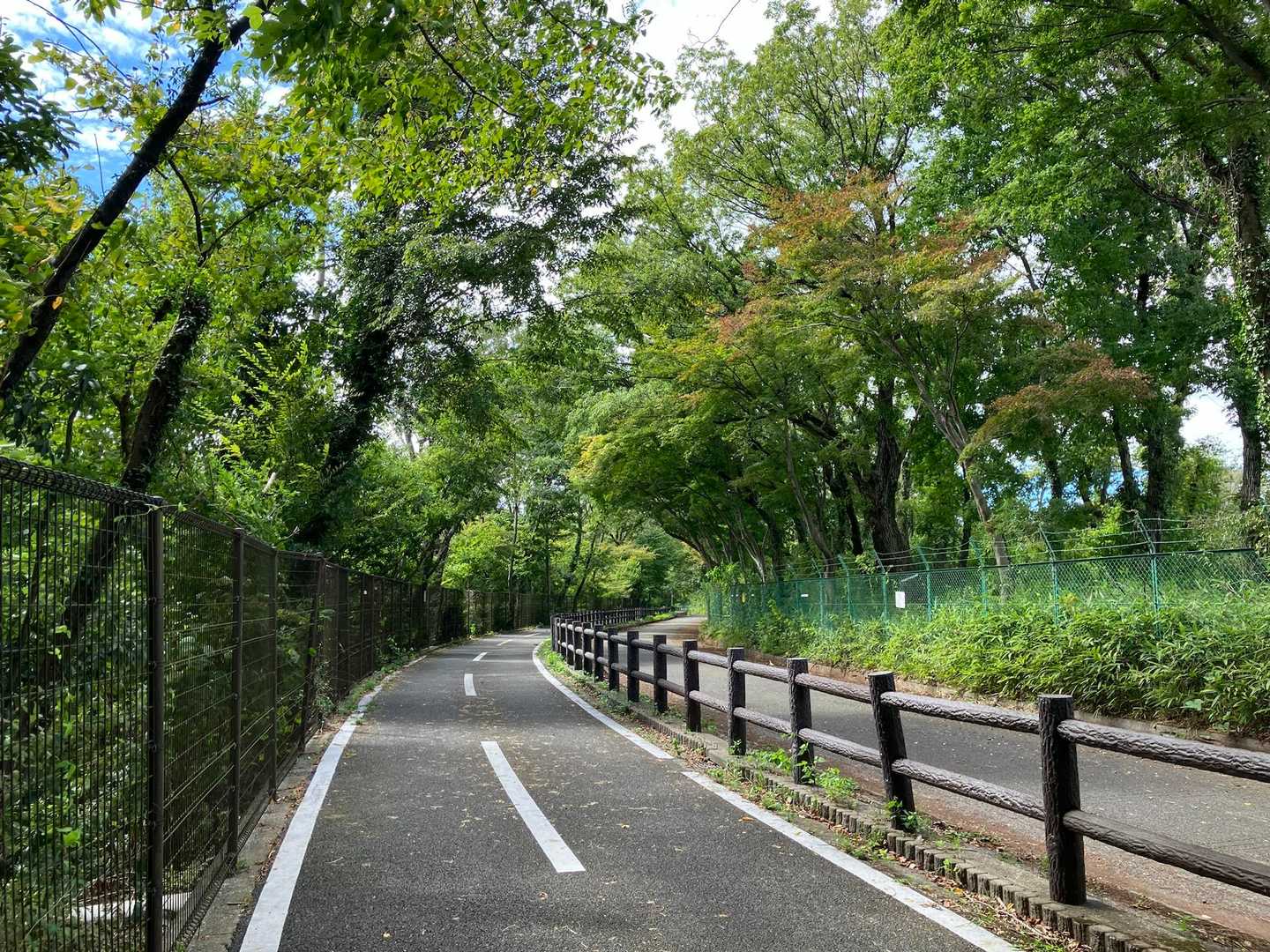 湖過ぎたら
出会うのはサイクリストばかり🚴
すれ違いざま挨拶してくれる人もいれば、
颯爽と走り抜ける人も
サイクリストも色々

途中の「狭山富士⛰️」は立ち入り禁止で登れませんでした、残念