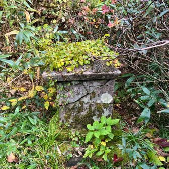 ここに祠がある
八森山は神室山を奥の院とする、雨乞いや日和乞いを祈願した信仰の山
ここで祈願したのだろうか？