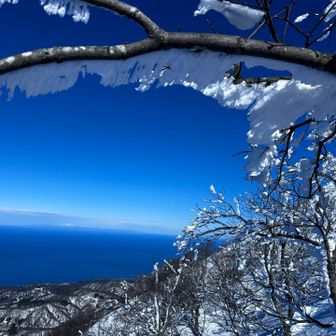 エビのしっぽ✨