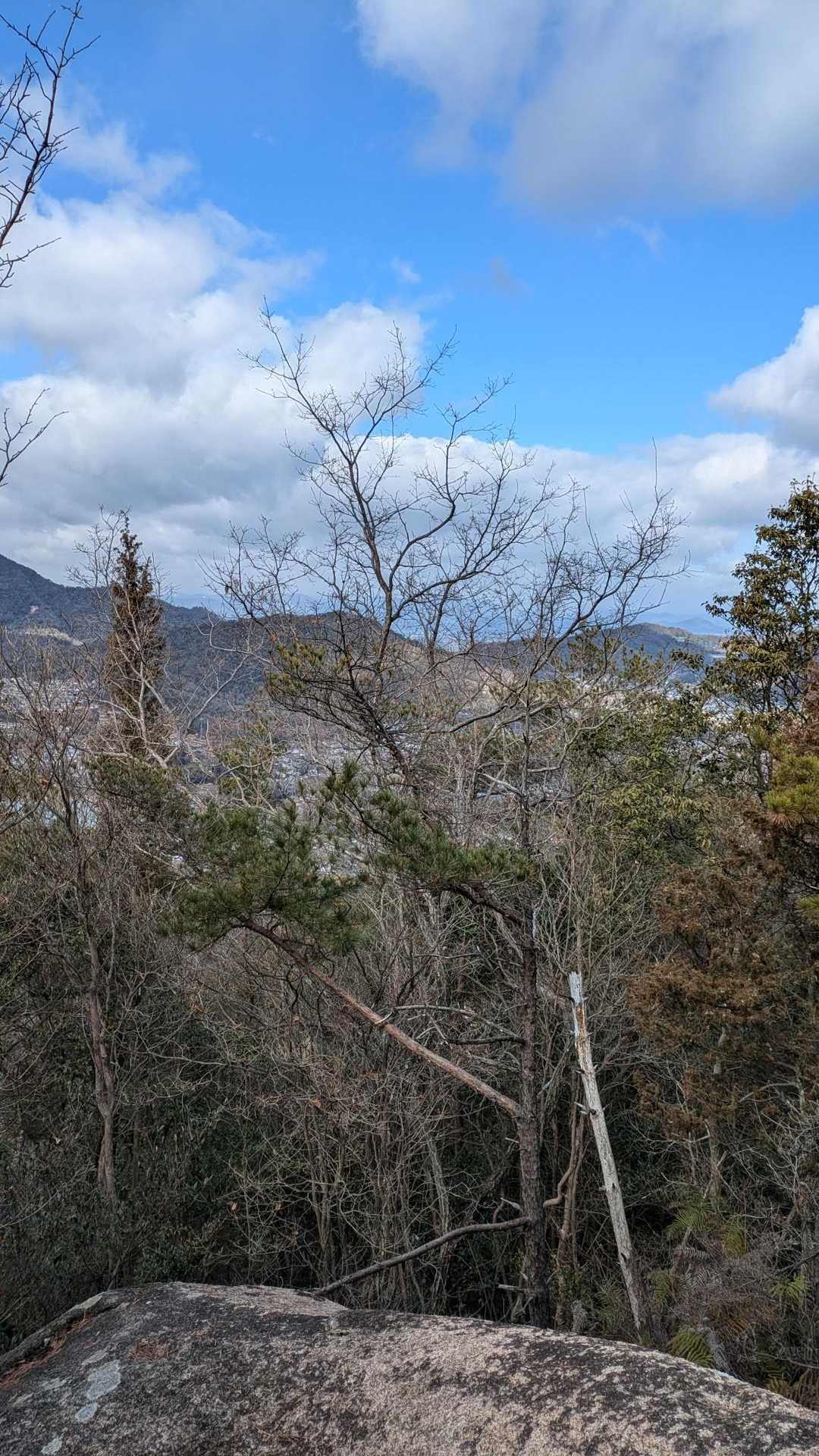 からの景色❗