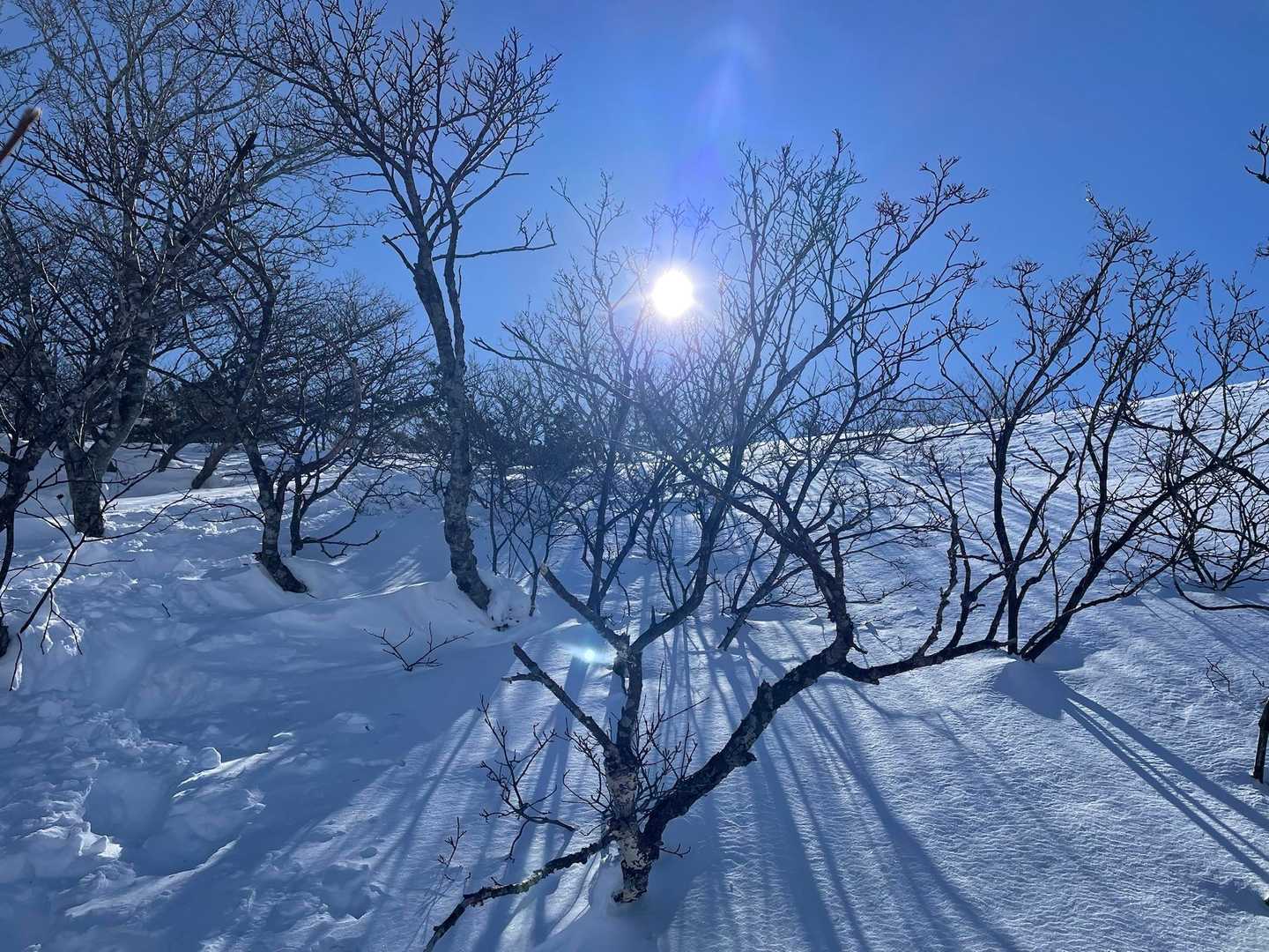 春の日差しか
