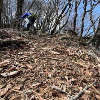 急登を登ります💦
前半なだらか！後半から急登の連続でした😏
そう思えるのは疲れて来た証拠🦆😮‍💨
🤳自撮りしながらも休憩🍌🧃
