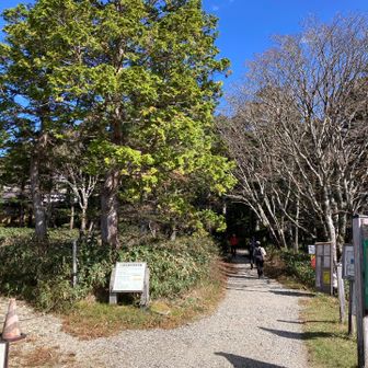 駐車場脇から東大台遊歩道で周回してきます。