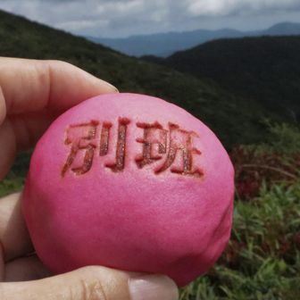 奥出雲へ行った（通った）のなら
スルーは出来ませんでした