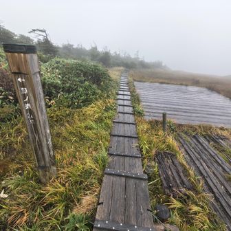 池ノ岳。途中の急登で暑くて雨具を脱ぎましたが、このあたりではだいぶ雨が止んできました。