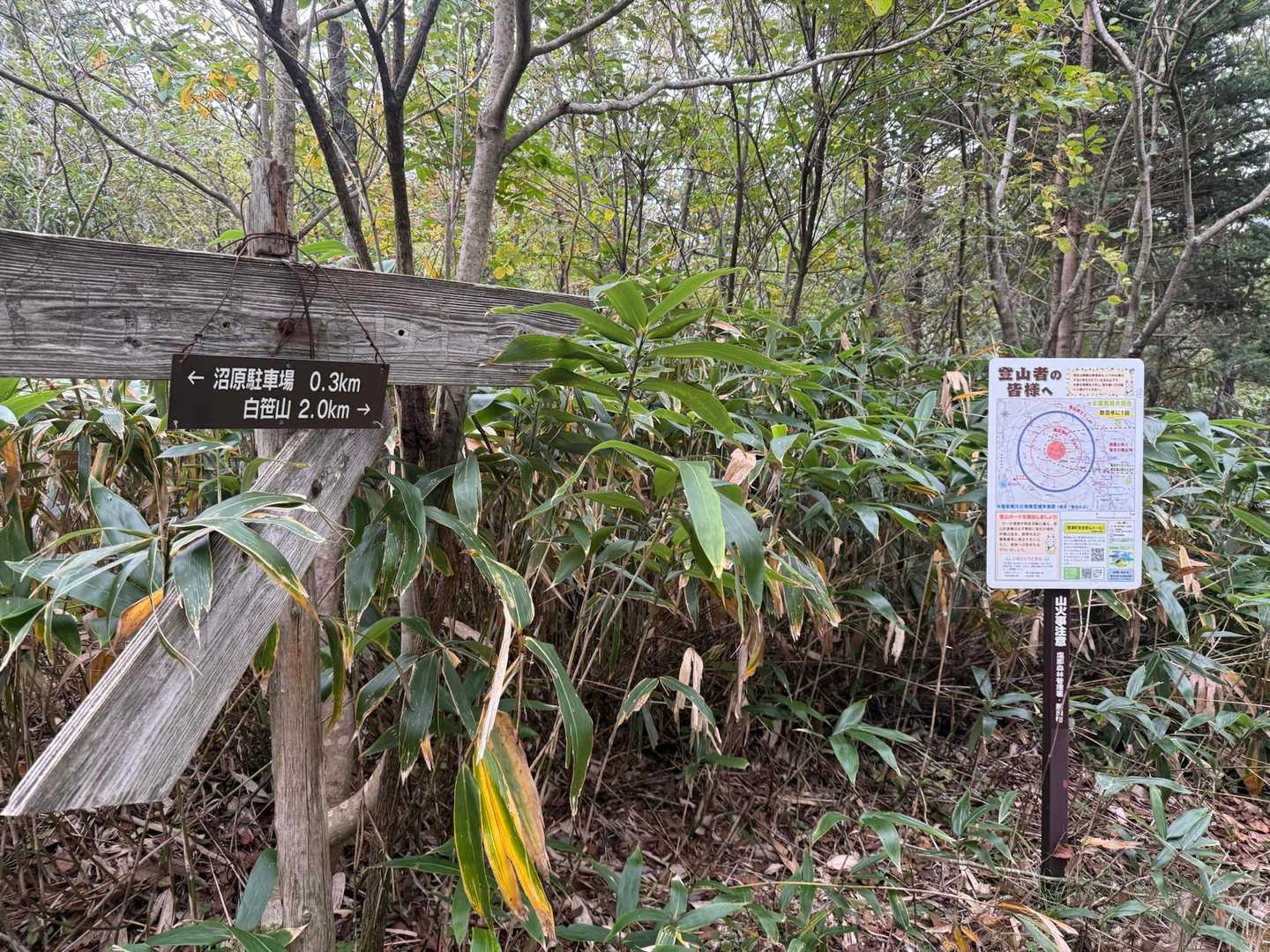 最初のピーク、白笹山までは2km！

右側の看板はここは火山の一角ですよーっていう看板です🌋