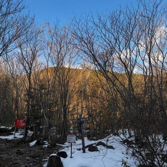 めっちゃ青空やん