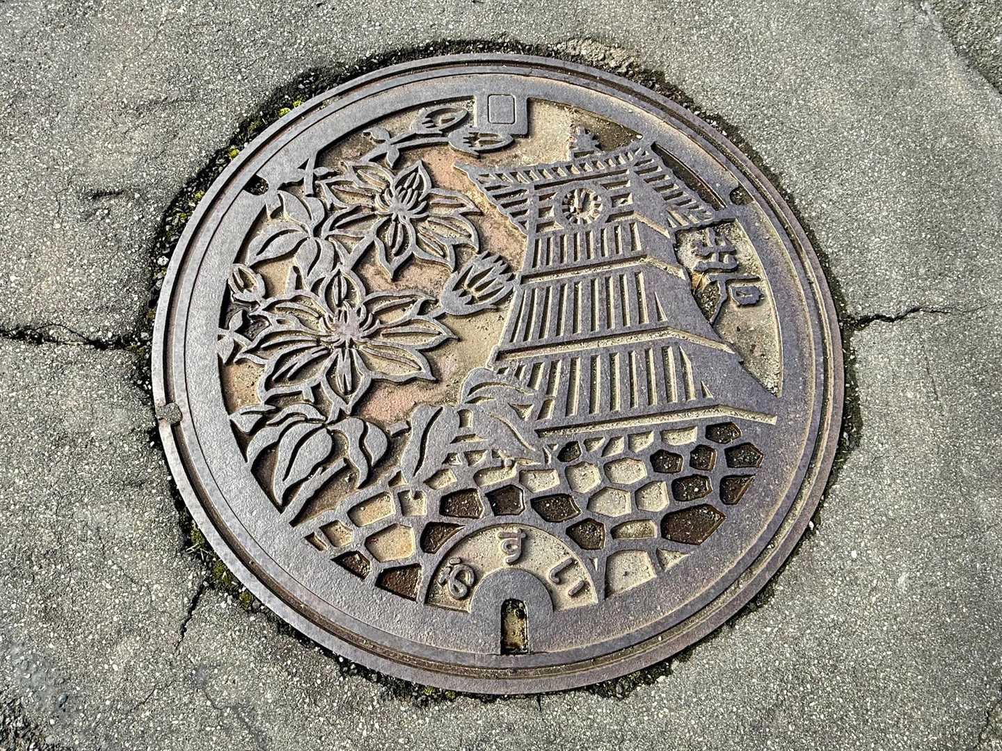 出石といえば、辰鼓楼（しんころう）🕰️
隣のお花は、出石町花のてっせん（鉄線）みたいだけど、初めて聞いた🙄