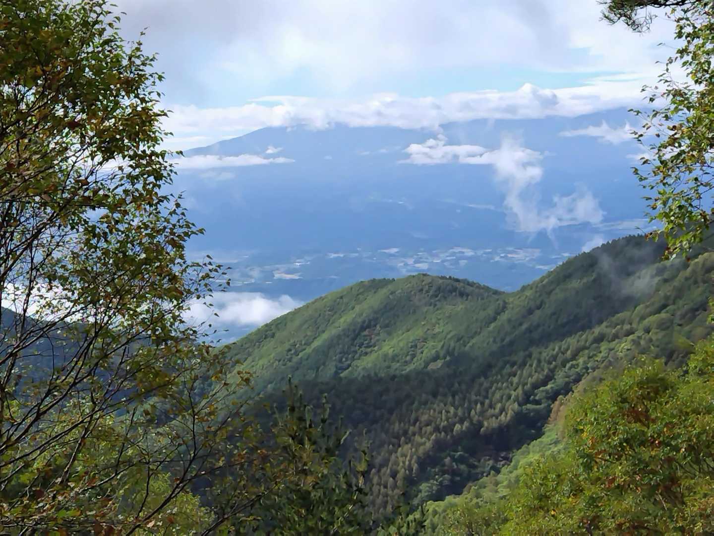 樹間から八ヶ岳方面かな