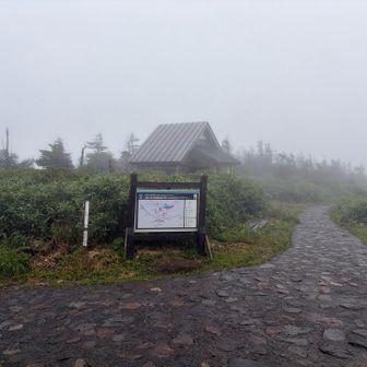 ほぼフラットな道なので歩き易い