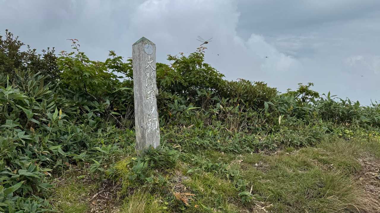 谷川岳主脈縦走（平標山・仙ノ倉山・万太郎山・谷川岳） の写真 53