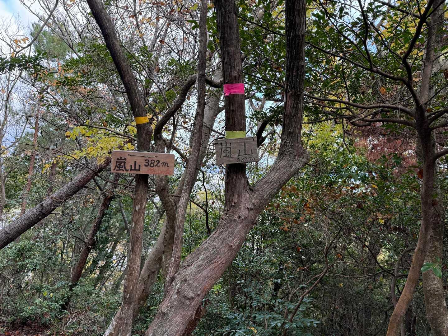 嵐山に到着