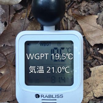 下山開始🚶
暑さ指数は更に20℃を下回りました。快適過ぎます。
すれ違う登山者様とも「朝が涼しくなりましたよねぇ」と軽く声掛け😁