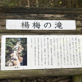 計画では  寄るつもりはなかったけど