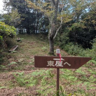 分岐‼️😁真っ直ぐ行きます‼️😊