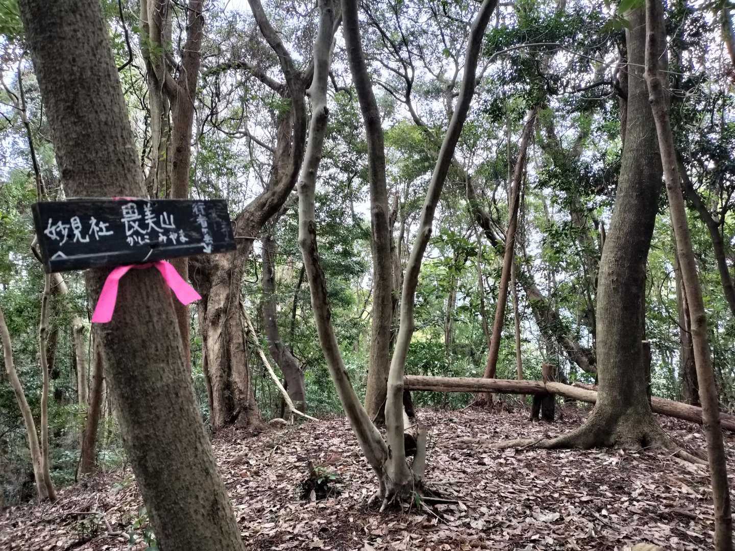 6座め：畏美山
ここもYAMAPにはありません