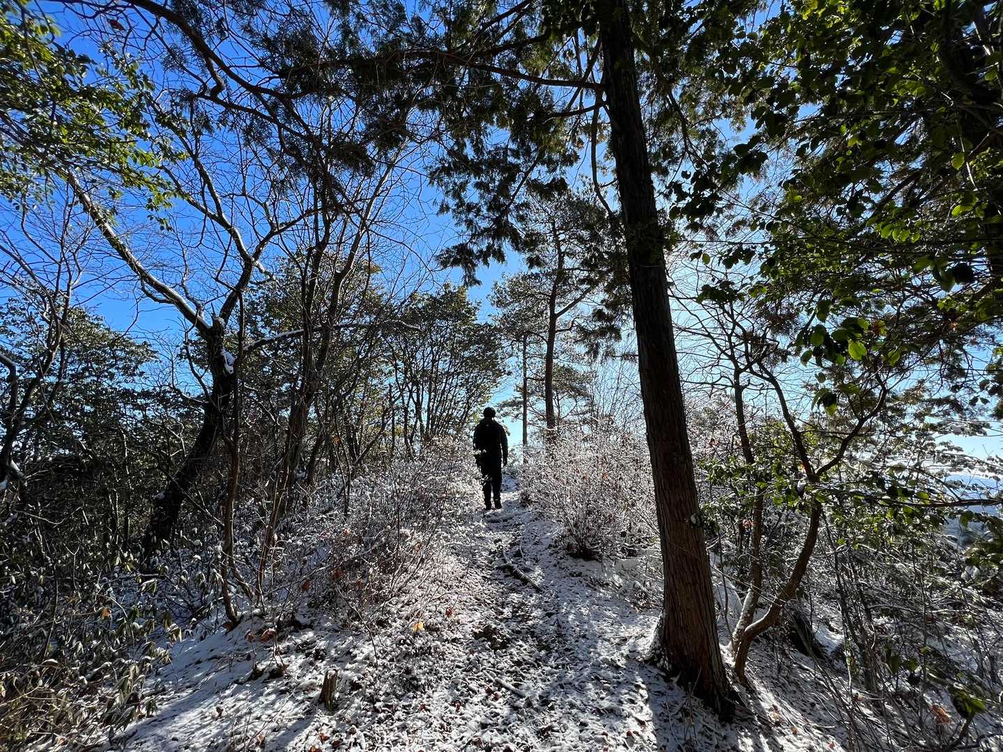 雪ついてても特に滑るとかなく、