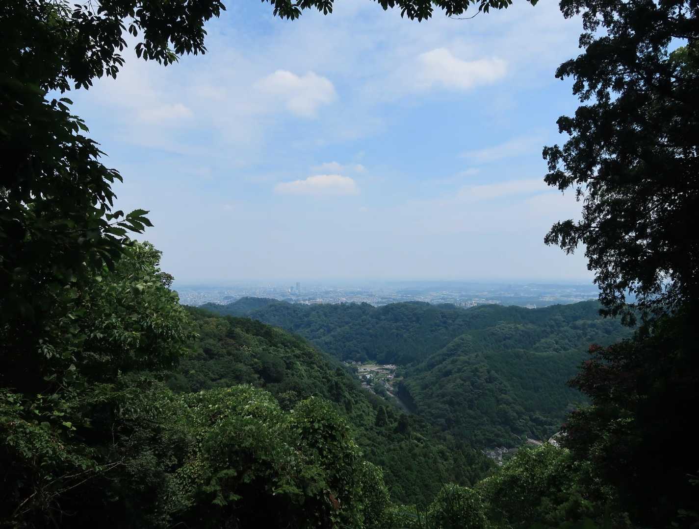稲荷山✨

この時期の高尾山は暑すぎる💦

今日もありがとうございました😊