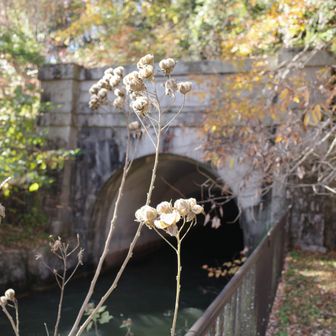 第二隧道入口　2025年8月国宝指定　この横から京都トレイル東山コースへと登っていく。