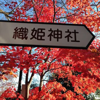 織姫神社までもう少し
紅葉が綺麗